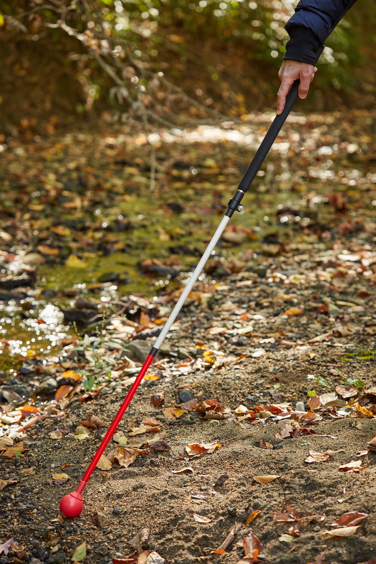 Awarewolf Gear All Terrain Cane in a forest setting.