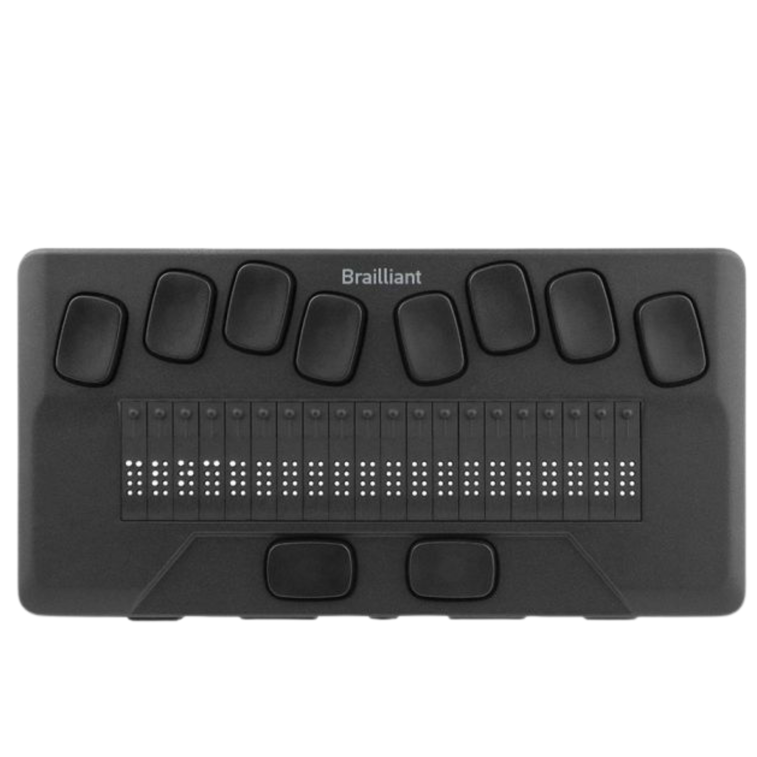 Brailliant BI 20x 20-cell braille display.