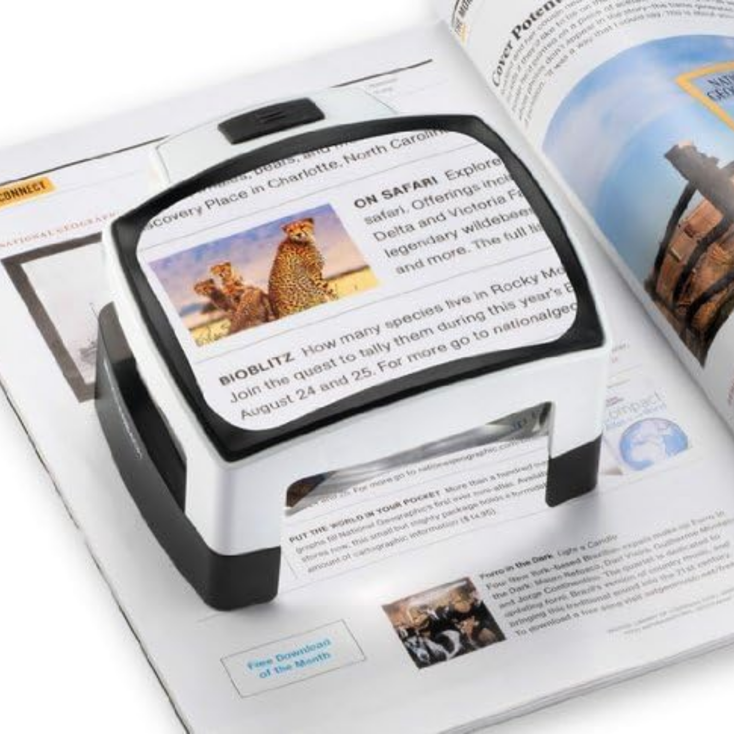 Stand magnifier enlarging text on a table top.