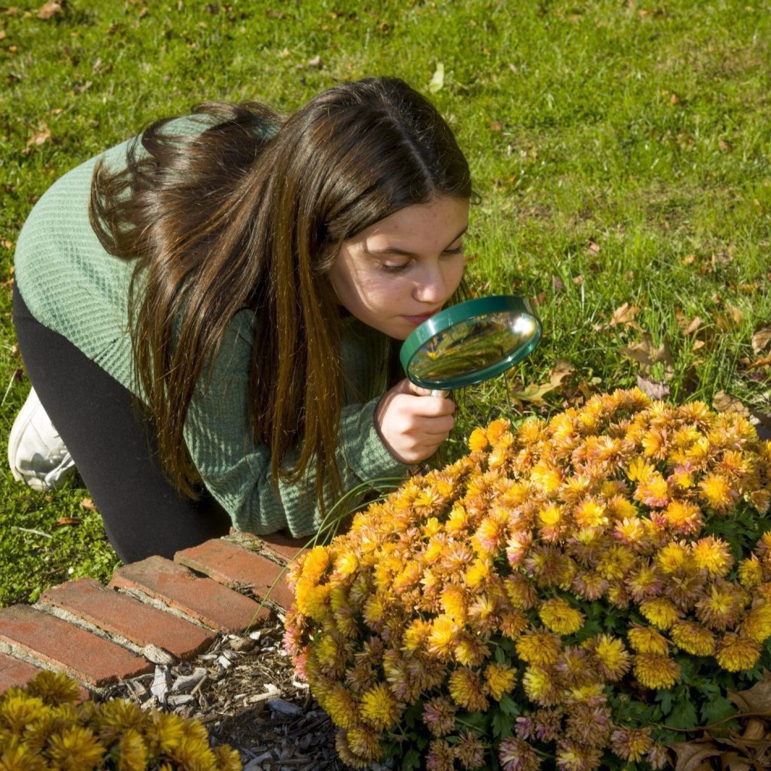 Image of a person looking at flowers through the magnifier.